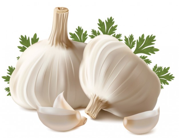 Remedios para la mastitis