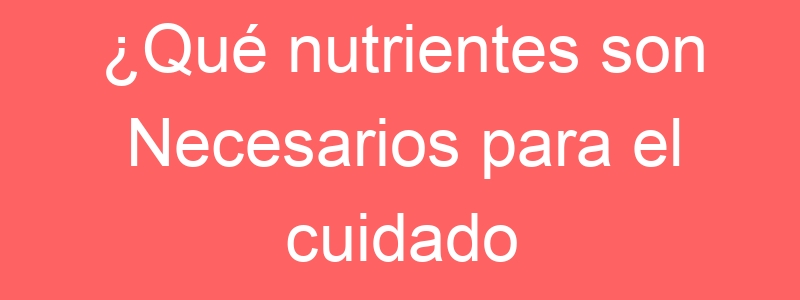 ¿Qué nutrientes son Necesarios para el cuidado postparto?